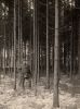 Johannes Bang i skoven